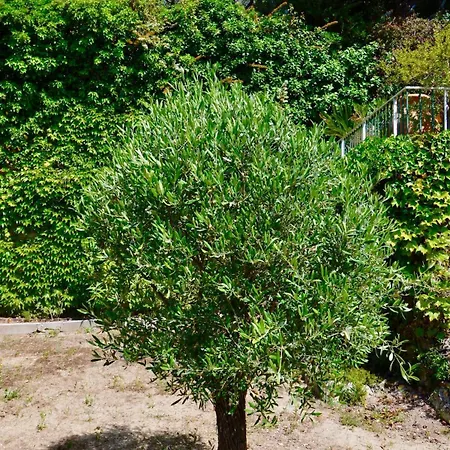 L'horizon - 90m2 - Belle Vue - Centre - Parking - 3 Apartment *